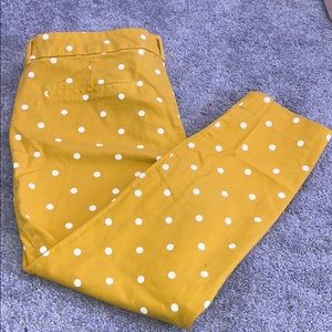 Pixie Ankle cut dress pants